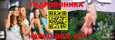 гидропоника Ипатово